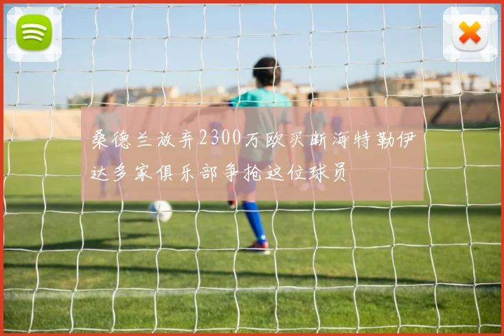 桑德兰放弃2300万欧买断海特勒伊达多家俱乐部争抢这位球员